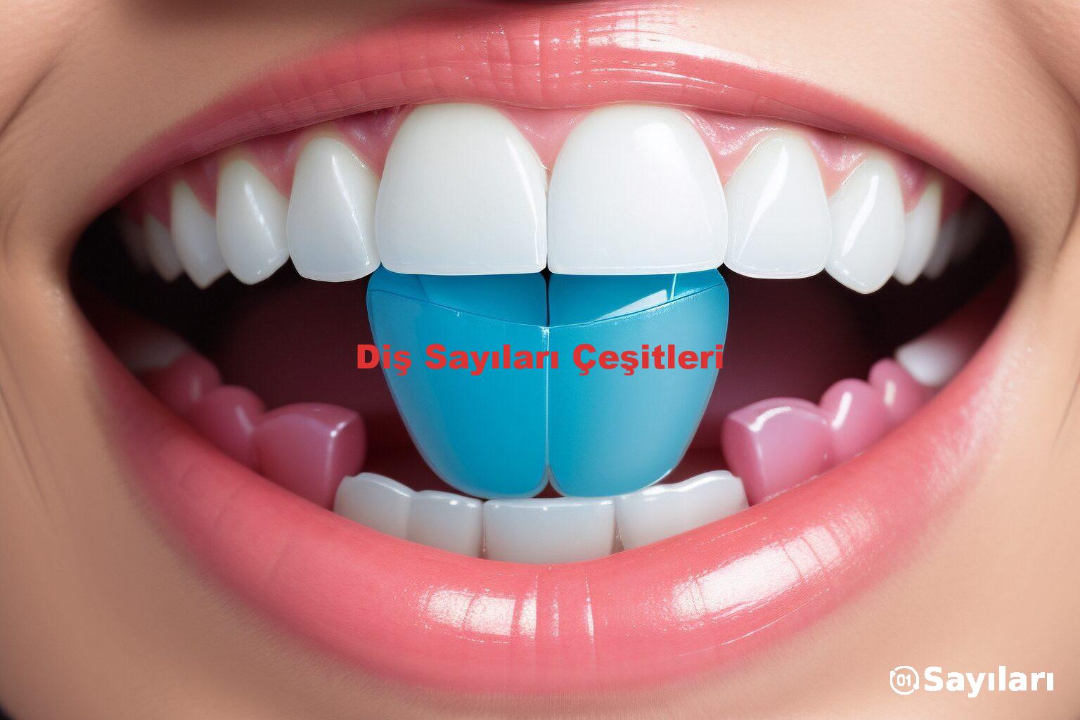 Diş Sayıları Çeşitleri