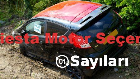 Ford Fiesta Motor Seçenekleri